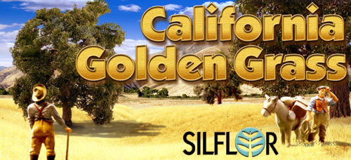 California Golden Grass