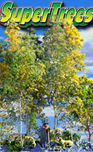 SuperTrees